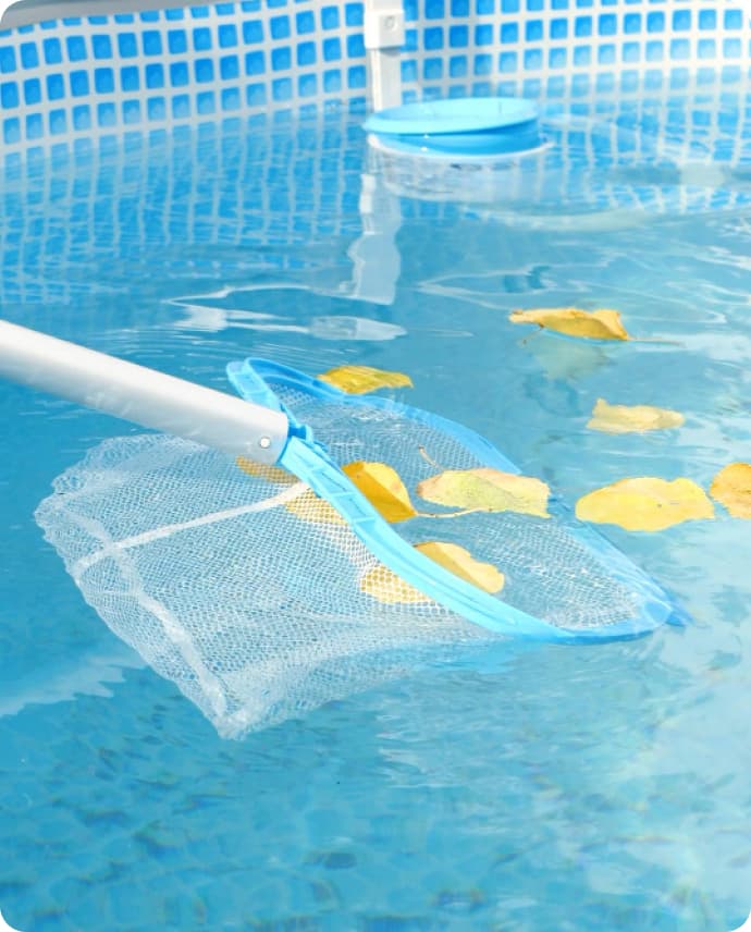 Pool skimmer fishing leaves out of an otherwise clean pool